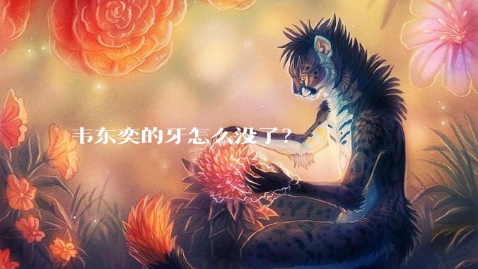 韦东奕的牙怎么没了？