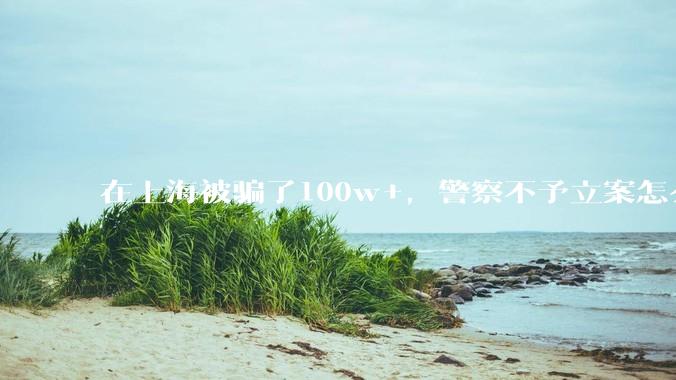在上海被骗了100w+，警察不予立案怎么办？